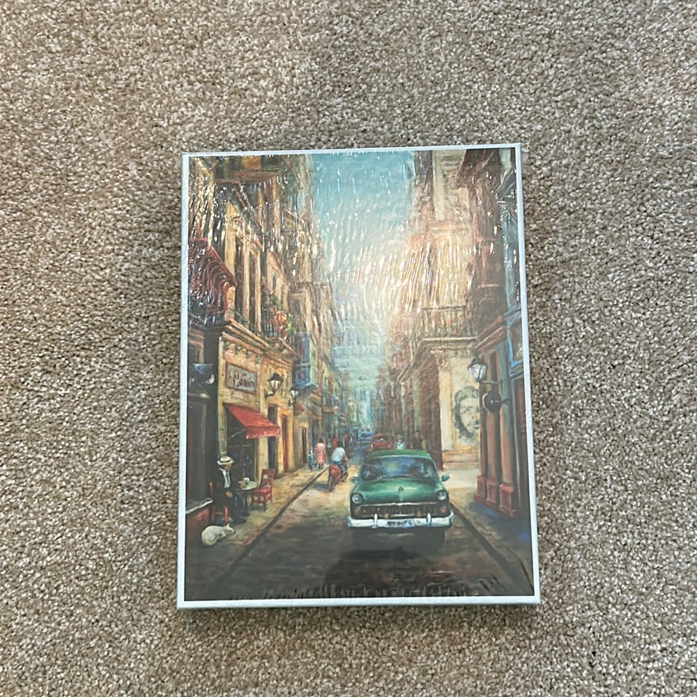 “Havana Evening” Mouth and Foot painting artists puzzle